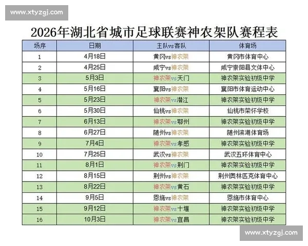 全面解析重大体育赛事赛程安排及关键对阵时间表